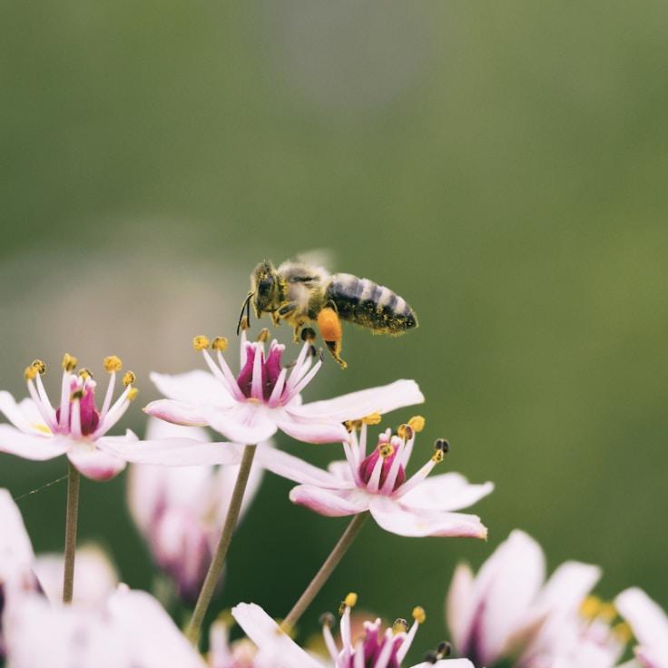 Nature travel hero image